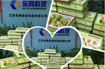 炎炎夏日送清涼，絲絲關(guān)愛(ài)沁人心！--江蘇東網(wǎng)派發(fā)夏令鮮果--焦溪特產(chǎn)蜜梨